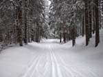 DSCN0149
