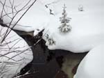 DSCN0170
