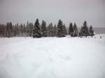 DSCN0173