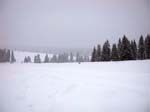 DSCN0175