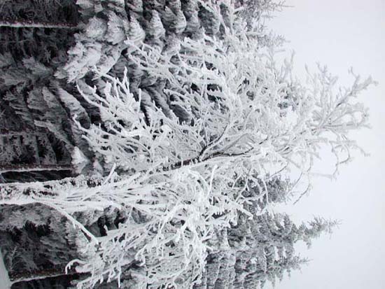 DSCN0065