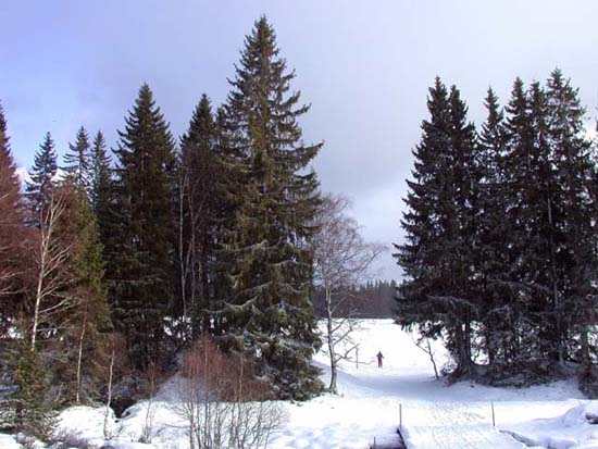 DSCN0106