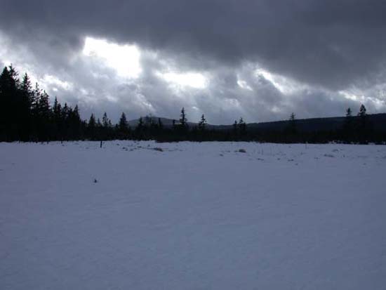 DSCN0110