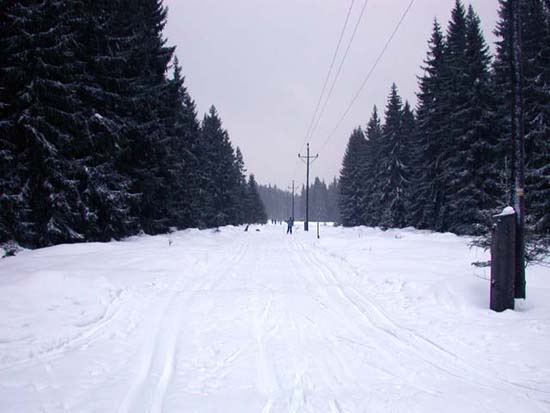 DSCN0124