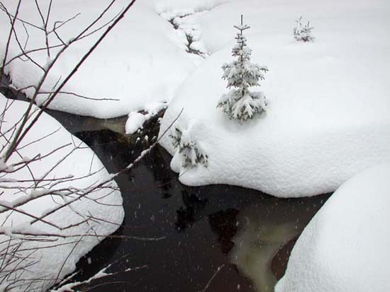 DSCN0170