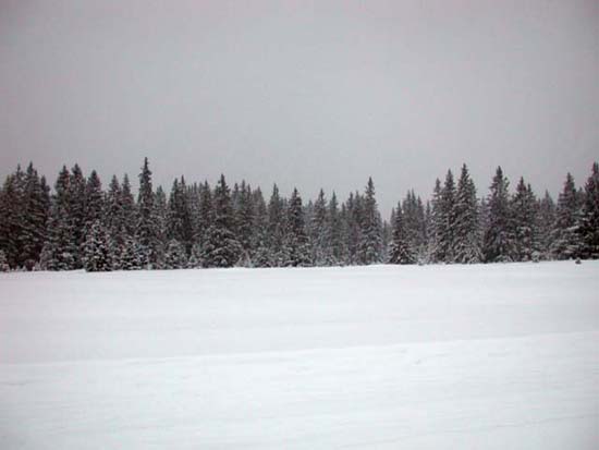 DSCN0172
