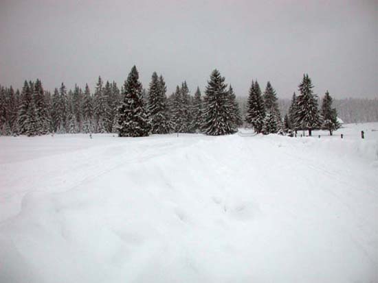 DSCN0173