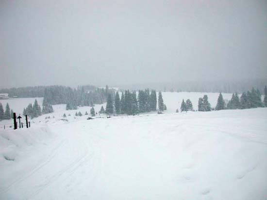 DSCN0174