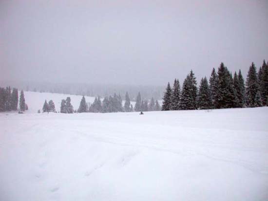 DSCN0175