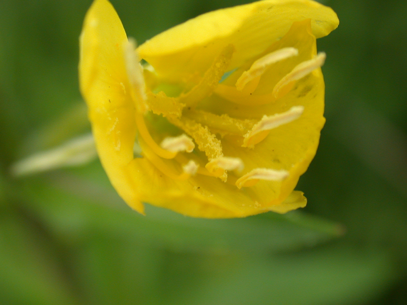 DSCN3474