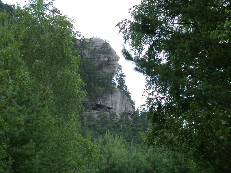 DSCN3490