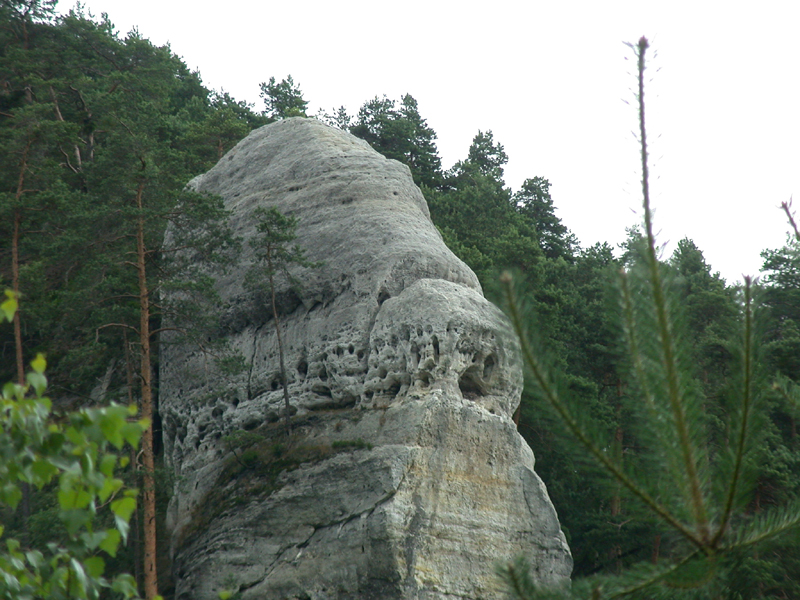 DSCN3491