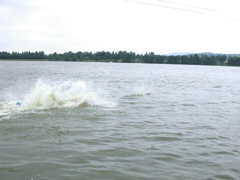 DSCN3534