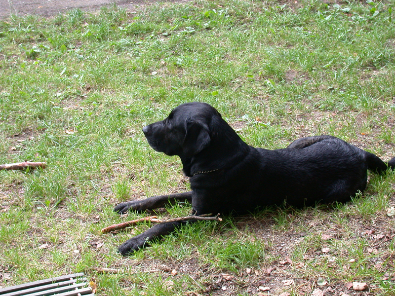 DSCN3684