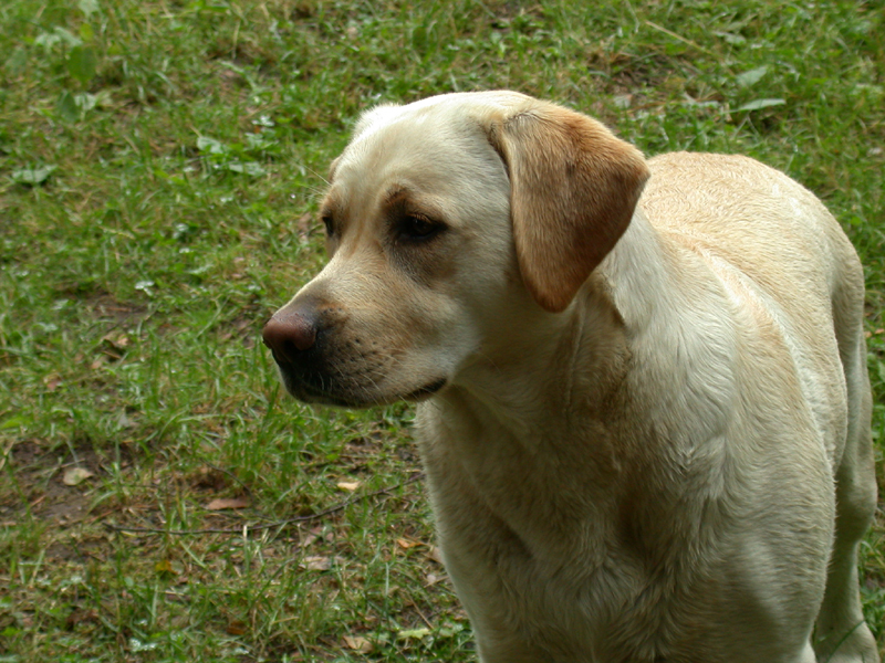 DSCN3739