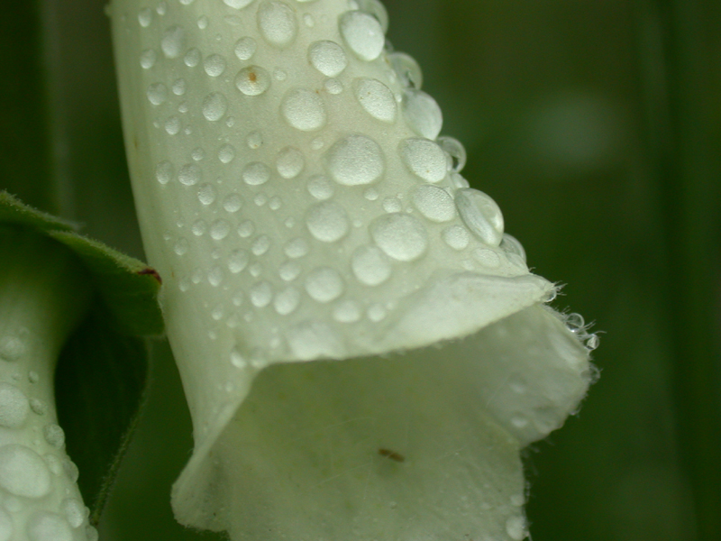DSCN3744