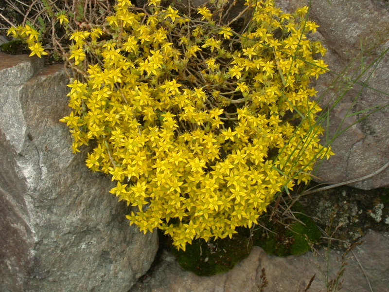 DSCN3750