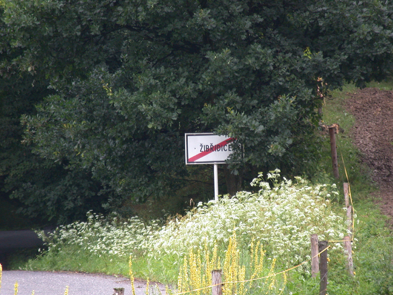 DSCN3805