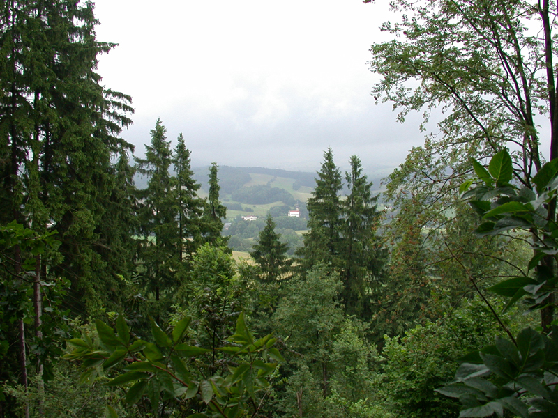 DSCN3813