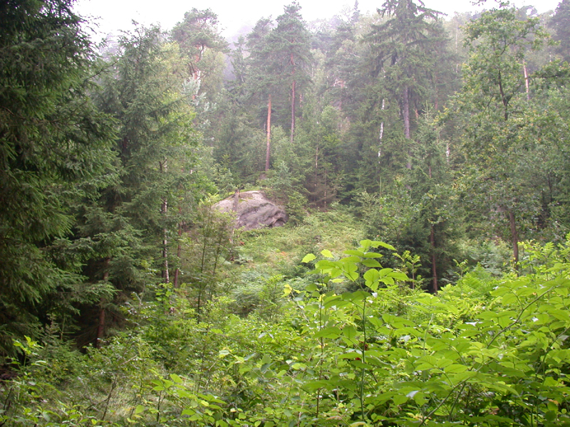 DSCN3820
