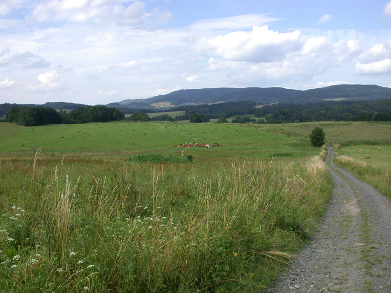DSCN3871