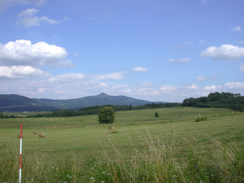 DSCN3872