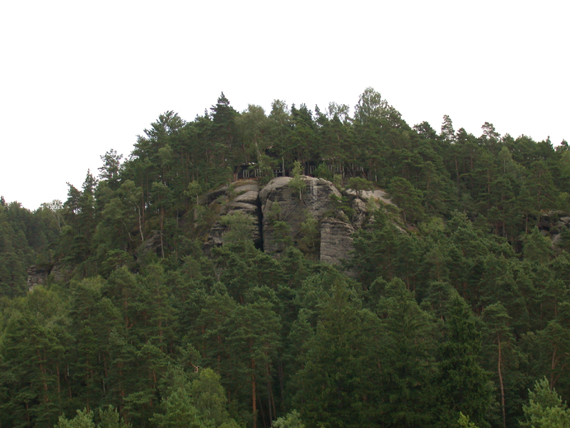 DSCN3966