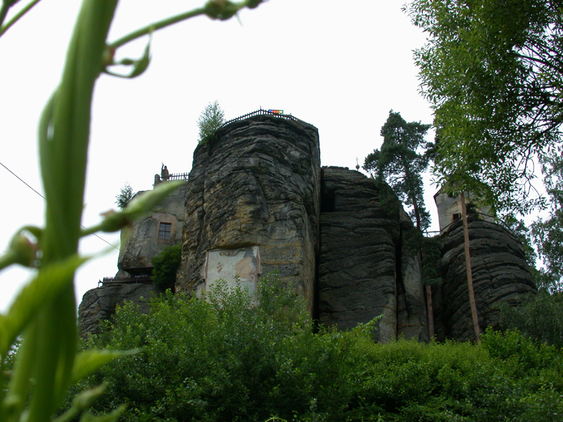 DSCN3970