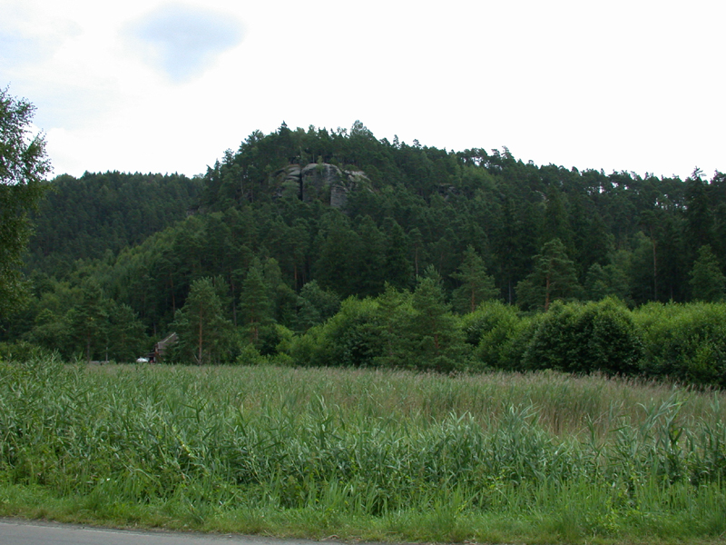 DSCN3972