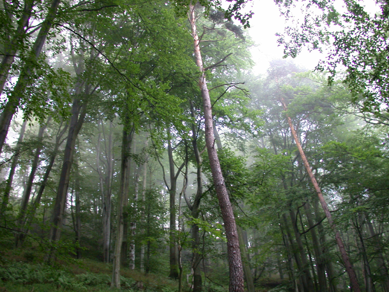 DSCN4032