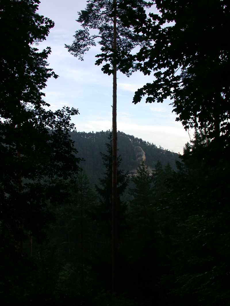 DSCN4034