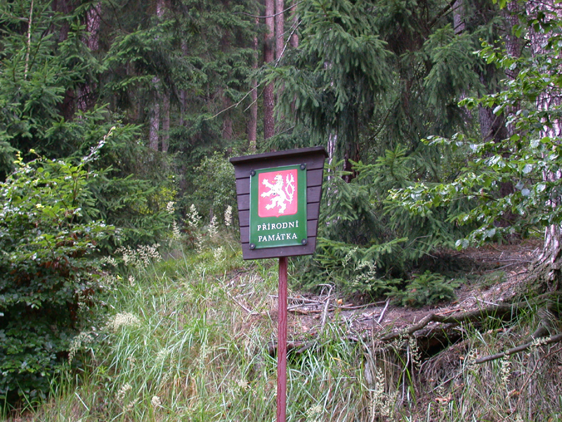 DSCN4035