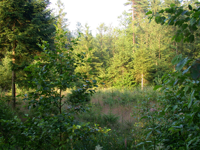 DSCN4047