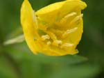 DSCN3474