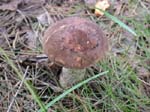 DSCN3475