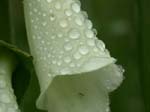 DSCN3744