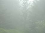 DSCN3745
