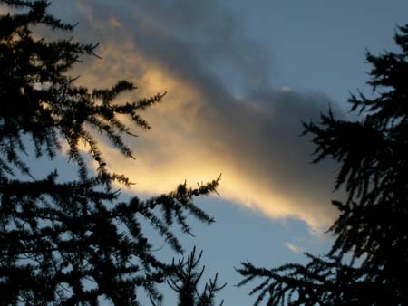 DSCN0329