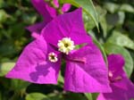 DSCN0441