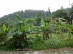 DSCN0851