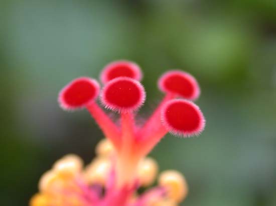 DSCN0687