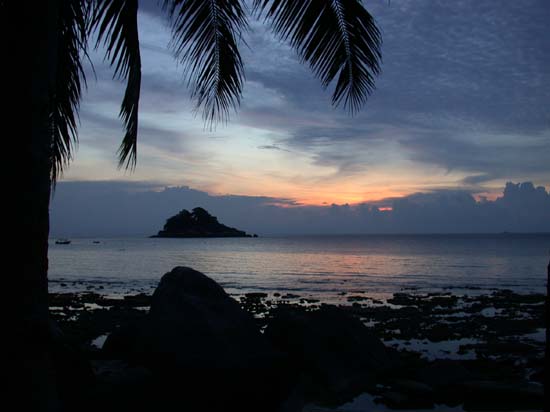 DSCN0773