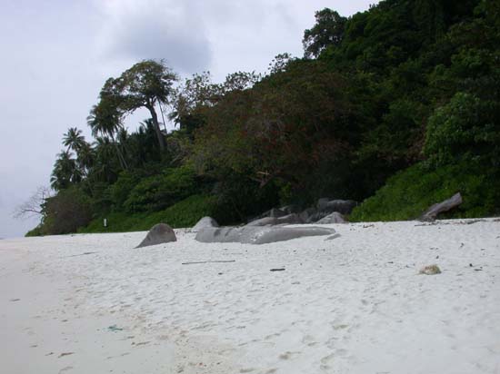 DSCN0778