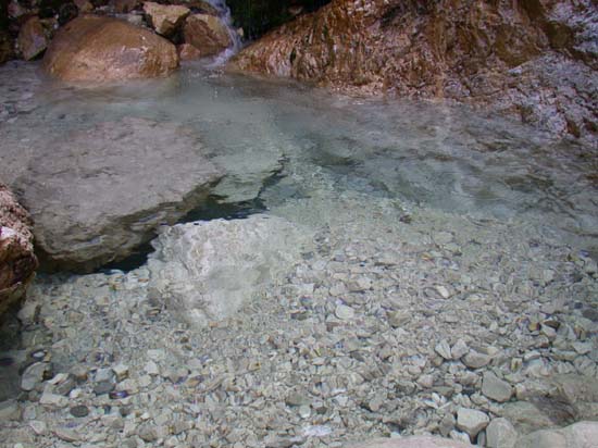 Tka pobl rneho slapu (dolina Tamar)