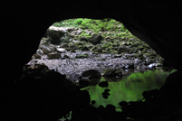 Jeskyn v dol Rakov kocjan (u Malho naravnho okna)