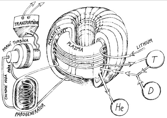 tokamak