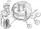 tokamak