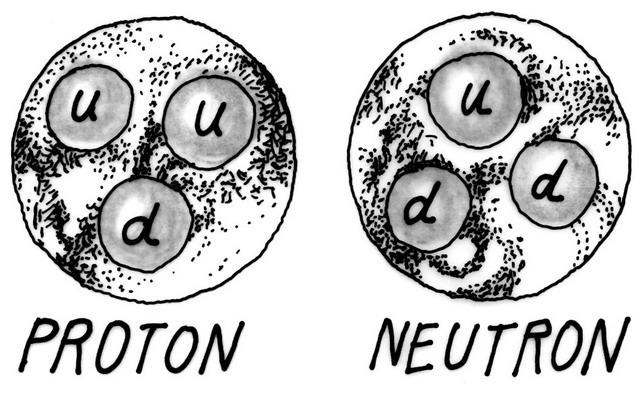 proton neutron