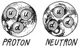 proton neutron