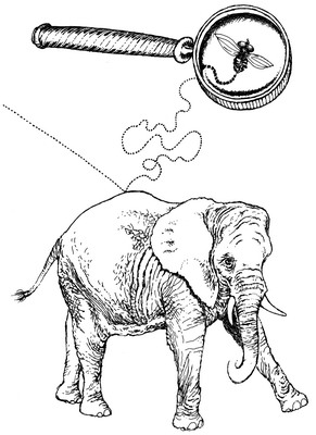 Slon a moucha